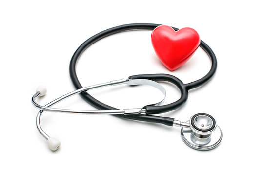 Cardiologia veterinária em São Caetano do Sul