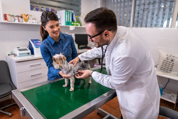 Nefrologia veterinária em São Caetano do Sul