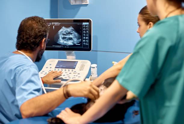 Ultrassom cervical veterinário