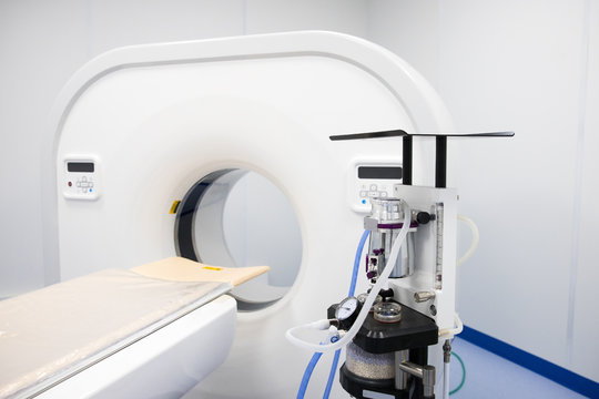 Veterinário oncologista